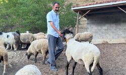Bartın'da çiftçi, koyunlarını kurt saldırısından dronla korudu