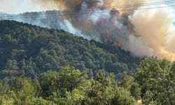 Bolu'nun Göynük ilçesinde çıkan orman yangınına müdahale ediliyor