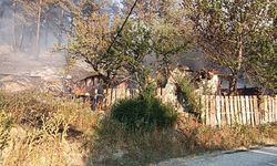 Bolu'nun Mudurnu ilçesinde ormanlık alanda yangın çıktı