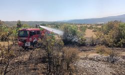 Çorum'da ormanlık alanda çıkan yangın büyümeden söndürüldü