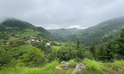 Giresun'da turizm hareketliliği esnafın yüzünü güldürdü