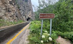 Göksu Travertenleri'nden oluşturulacak rotalarla yöre turizminin geliştirilmesi hedefleniyor