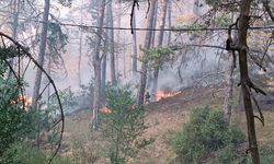 GÜNCELLEME - Bolu'nun Mudurnu ilçesinde ormanlık alanda yangın çıktı