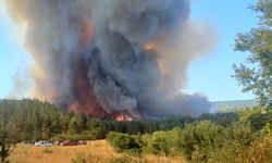 GÜNCELLEME - Karabük'te ormanlık alanda çıkan yangına müdahale ediliyor