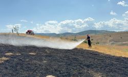 Karabük'te çıkan anız yangını söndürüldü