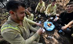 Karabük'te orman işçilerinin alevlerle mücadelesi sürüyor