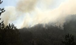Karabük'teki orman yangınlarına 3. gününde müdahale sürüyor