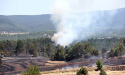 Kastamonu'da tarım arazisinde başlayan yangın ormana sıçradı