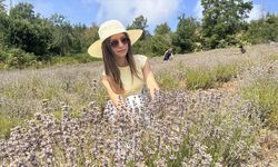 Kastamonu'da turizmcinin atıl tarlasına kurduğu lavanta bahçesinde hasat şöleni yapıldı