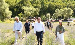 Ladik'te lavanta bahçesi törenle hizmete açıldı