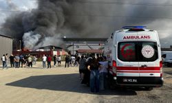 Ordu'da geri dönüşüm tesisinde yangın çıktı