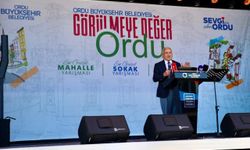 Ordu'nun en güzel mahalle, sokak ve balkonları belirlendi