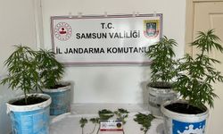 Salıpazarı'nda uyuşturucu operasyonunda 1 zanlı yakalandı