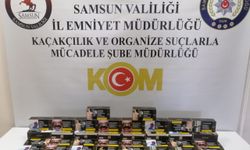 Samsun'da kaçakçılık operasyonunda 2 zanlı yakalandı