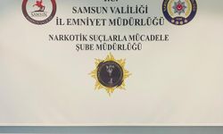 Samsun'da uyuşturucu operasyonunda 2 bin 530 sentetik ecza hapı ele geçirildi