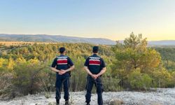 Saraydüzü'nde jandarmadan orman denetimi