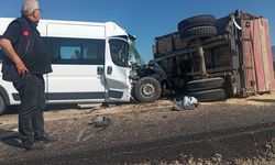 Sinop'ta devrilen traktördeki arpa yola saçıldı