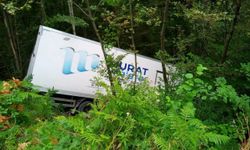 Sinop'ta ormanlık alana devrilen kargo aracının sürücüsü yaralandı
