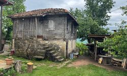 Tarihten doğaya uzanan mirasıyla Ordu, Karadeniz'in eşsiz güzelliklerini yaşatıyor