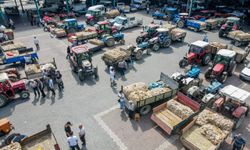 Taşköprü sarımsak pazarında yoğunluk yaşanıyor