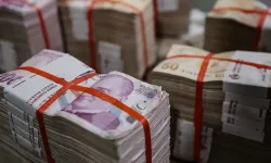 TARIM VE ESNAF KREDİLERİNE DÜZENLEME