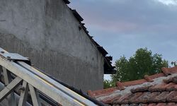 Tokat'ta çatıda kalan kediyi itfaiye kurtardı