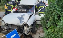 Tokat'ta hafif ticari araç ağaca çarptı, 4 kişi yaralandı