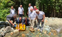 Trabzon'da 10 bin alabalık yavrusu Küçükdere Vadisi'ne bırakıldı