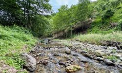 Trabzon'daki Kazan Gölü Kanyonu turizme kazandırılacak