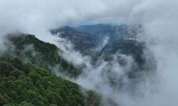 Trabzon'un "Hıdırnebi Yaylası" sis altındaki güzelliğiyle ziyaretçilerini karşılıyor
