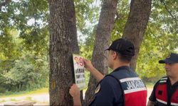 Türkeli'de jandarma ekiplerince ormanlık alanda denetim yapıldı