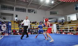 Üst Minik Erkekler ve Kadınlar Türkiye Ferdi Boks Şampiyonası, Bayburt'ta devam ediyor
