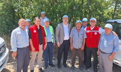 Vezirköprü’de kanola hasadı başladı