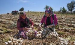 Yeşilaydan sarımsak tarlasında çalışan kadınlara ziyaret