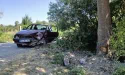 Amasya'da ağaca çarpan otomobildeki 2 kişi yaralandı