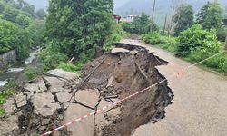 Artvin'de heyelan nedeniyle 2 köy yolu ulaşıma kapandı
