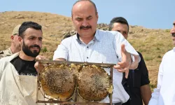 Batman Sason'da bal hasadı coşkusu