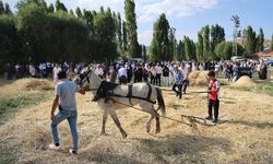 Bayburt'ta "6. Harman Festivali" başladı