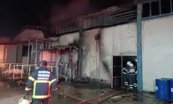 Bilecik Bozüyük'te korkutan yangın!