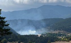 Bolu'da çalılık alanda çıkan yangın söndürüldü