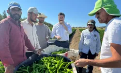 Bursa Yenişehir'de tarla işçilerine 'Özel' ziyaret