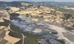 Bursa Yenişehir’deki orman yangını kontrol altındd