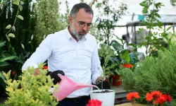 Bursa'nın Kestel ilçesi süs bitkilerini Sakarya'da görücüye çıkaracak