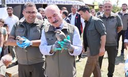 Çorum'da 300 keklik doğaya bırakıldı