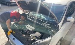 Çorum'da aracın motor kısmına giren yavru kedi itfaiye ekiplerince kurtarıldı