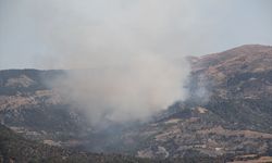 Çorum'da ormanlık alanda çıkan yangına müdahale ediliyor