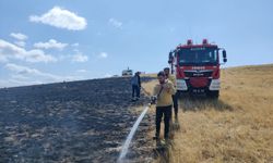 Giresun'da çıkan örtü yangını söndürüldü