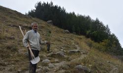 Gümüşhane'deki köyünü 40 yılda 50 bini aşkın fidanla buluşturdu