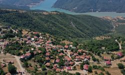 GÜNCELLEME 2 - Sinop'taki orman yangını kontrol altına alındı