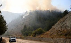 GÜNCELLEME 3 - Karabük'te çıkan orman yangını kontrol altına alındı